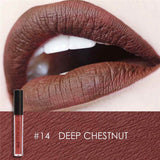 Waterproof Matte Liquid Lipstick  (25 Colors)